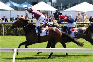 MELBOURNE, AUSTRALIA - NOVEMBER 04: Brett Prebble riding #2 Plucky Pirouette wins race 1, the TCL TV Stakes during 2021 Oaks Day at Flemington Racecourse on November 04, 2021 in Melbourne, Australia. (Photo by Robert Cianflone/Getty Images)
