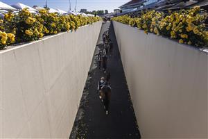 MELBOURNE, AUSTRALIA - NOVEMBER 04: Competing horses are lead out ahead of race 8, the Kennedy Oaks during 2021 Oaks Day at Flemington Racecourse on November 04, 2021 in Melbourne, Australia. (Photo by Daniel Pockett/Getty Images)