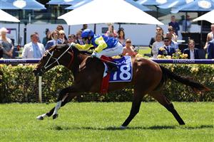MELBOURNE, AUSTRALIA - NOVEMBER 04: Craig Williams riding #18 See You In Heaven wins race 3, the Darley Ottawa Stakes during 2021 Oaks Day at Flemington Racecourse on November 04, 2021 in Melbourne, Australia. (Photo by Robert Cianflone/Getty Images)