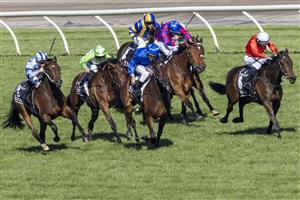 MELBOURNE, AUSTRALIA - NOVEMBER 04: Damien Oliver riding #2 Willowy wins race 8, the Kennedy Oaks during 2021 Oaks Day at Flemington Racecourse on November 04, 2021 in Melbourne, Australia. (Photo by Wayne Taylor/Getty Images for VRC)
