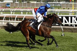 MELBOURNE, AUSTRALIA - NOVEMBER 04: Damien Oliver riding #2 Willowy wins race 8, the Kennedy Oaks during 2021 Oaks Day at Flemington Racecourse on November 04, 2021 in Melbourne, Australia. (Photo by Darrian Traynor/Getty Images)