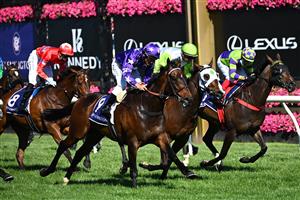 MELBOURNE, AUSTRALIA - NOVEMBER 04: Damien Oliver riding #9 Bermadez wins race 7, the Melbourne Cup Carnival Country Final during 2021 Oaks Day at Flemington Racecourse on November 04, 2021 in Melbourne, Australia. (Photo by Quinn Rooney/Getty Images)