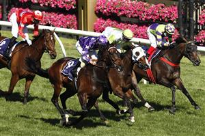 MELBOURNE, AUSTRALIA - NOVEMBER 04: Damien Oliver riding #9 Bermadez wins race 7, the Melbourne Cup Carnival Country Final during 2021 Oaks Day at Flemington Racecourse on November 04, 2021 in Melbourne, Australia. (Photo by Darrian Traynor/Getty Images)