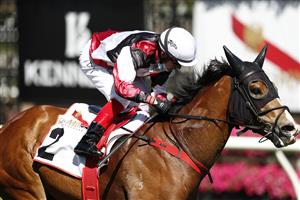 MELBOURNE, AUSTRALIA - NOVEMBER 04: Dean Yendall riding #2 Halvorsen wins race 6, the G.H.Mumm Century Stakes during 2021 Oaks Day at Flemington Racecourse on November 04, 2021 in Melbourne, Australia. (Photo by Darrian Traynor/Getty Images)