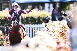 MELBOURNE, AUSTRALIA - NOVEMBER 04: Dean Yendall riding #2 Halvorsen celebrates winning race 6, the G.H.Mumm Century Stakes during 2021 Oaks Day at Flemington Racecourse on November 04, 2021 in Melbourne, Australia. (Photo by Daniel Pockett/Getty Images)