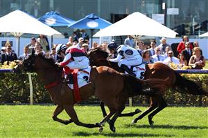 MELBOURNE, AUSTRALIA - NOVEMBER 04: Dean Yendall riding #2 Halvorsen leads Damian Lane riding #8 Malkovich to win race 6, the G.H.Mumm Century Stakes during 2021 Oaks Day at Flemington Racecourse on November 04, 2021 in Melbourne, Australia. (Photo by Robert Cianflone/Getty Images)