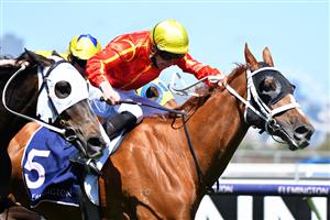 MELBOURNE, AUSTRALIA - NOVEMBER 04: James McDonald riding #5 Djukon wins race 4, the Twitter Trophy during 2021 Oaks Day at Flemington Racecourse on November 04, 2021 in Melbourne, Australia. (Photo by Vince Caligiuri/Getty Images)