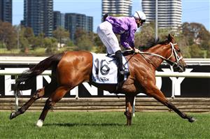 MELBOURNE, AUSTRALIA - NOVEMBER 04: James McDonald riding #16 Espiona wins race 5, the Off The Track Desirable Stakes during 2021 Oaks Day at Flemington Racecourse on November 04, 2021 in Melbourne, Australia. (Photo by Robert Cianflone/Getty Images)