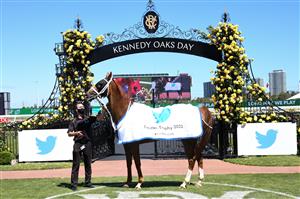 MELBOURNE, AUSTRALIA - NOVEMBER 04: Djukon after winning Race 4, the Twitter Trophy, during 2021 Oaks Day at Flemington Racecourse on November 04, 2021 in Melbourne, Australia. (Photo by Vince Caligiuri/Getty Images)