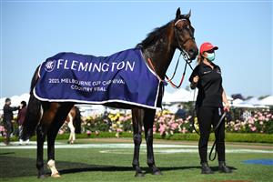 MELBOURNE, AUSTRALIA - NOVEMBER 04: #9 Bermadez is seen after winning race 7, the Melbourne Cup Carnival Country Final during 2021 Oaks Day at Flemington Racecourse on November 04, 2021 in Melbourne, Australia. (Photo by Vince Caligiuri/Getty Images)