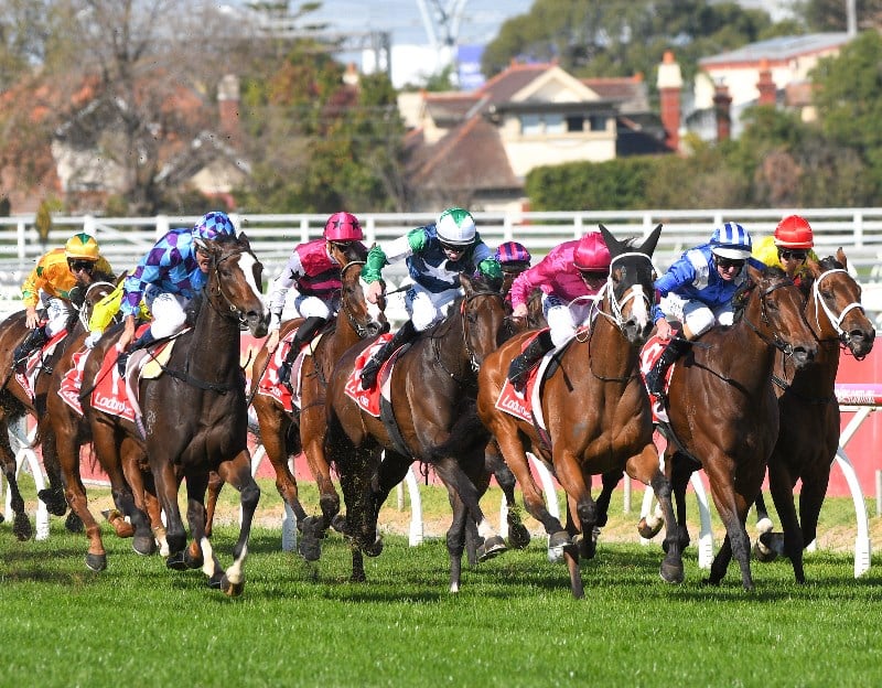 Big Bets for 05.11.2021