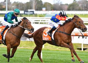 Darley Sprint Classic Odds - Nature Strip Out Market