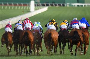 Hamilton Betting Tips