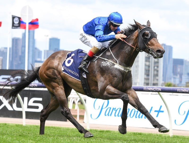 Big Bets Results from 06.11.2021