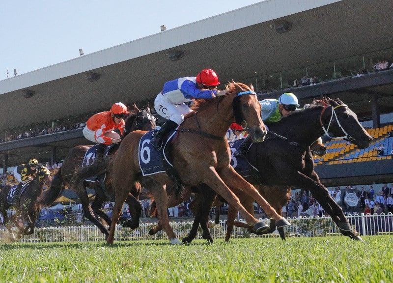 Saturday Blackbookers from November 6