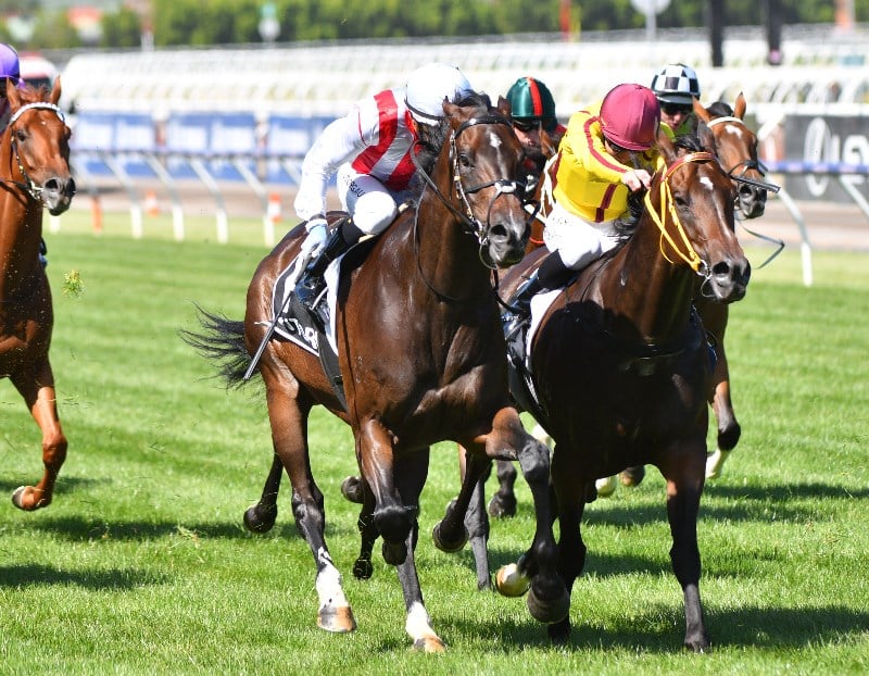 Winterbottom Stakes Betting Odds