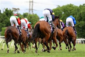 MELBOURNE, AUSTRALIA - NOVEMBER 06: The field are seen past the finish post after race 9, the World Horse Racing Grand Handicap during 2021 Paramount+ Stakes Day at Flemington Racecourse on November 06, 2021 in Melbourne, Australia. (Photo by Robert Cianflone/Getty Images)
