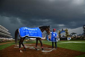 MELBOURNE, AUSTRALIA - NOVEMBER 06: Zaaki is seen after winning Race 8, the Paramount Plus Mackinnon Stakes, during 2021 Paramount + Stakes Day at Flemington Racecourse on November 06, 2021 in Melbourne, Australia. (Photo by Vince Caligiuri/Getty Images)