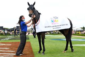 MELBOURNE, AUSTRALIA - NOVEMBER 06: #6 Alcyone is seen after winning race 3, the Very Special Kids Pin and Win Trophy during 2021 Paramount+ Stakes Day at Flemington Racecourse on November 06, 2021 in Melbourne, Australia. (Photo by Vince Caligiuri/Getty Images)