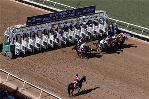 DEL MAR, CALIFORNIA - NOVEMBER 06: Horses break from the starting gate for the Breeders' Cup Dirt Mile race at Del Mar Race Track on November 06, 2021 in Del Mar, California. (Photo by Sean M. Haffey/Getty Images)