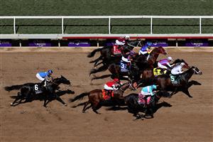 DEL MAR, CALIFORNIA - NOVEMBER 06: Horses break from the starting gate for the Breeders' Cup Dirt Mile race at Del Mar Race Track on November 06, 2021 in Del Mar, California. (Photo by Sean M. Haffey/Getty Images)