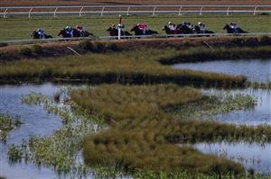 DEL MAR, CALIFORNIA - NOVEMBER 06: The field approaches the final turn for the Breeders' Cup Mile at Del Mar Race Track on November 06, 2021 in Del Mar, California. (Photo by Sean M. Haffey/Getty Images)