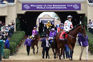 DEL MAR, CALIFORNIA - NOVEMBER 05: Jockey Leigh Roche walks Twilight Jet to the track before the start of the Breeders' Cup Juvenile Turf Sprint at Del Mar Race Track on November 05, 2021 in Del Mar, California. (Photo by Rob Carr/Getty Images)