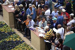 DEL MAR, CALIFORNIA - NOVEMBER 05: Racing fans look on in the paddock area before the start of the the Breeders' Cup Juvenile Fillies race at Del Mar Race Track on November 05, 2021 in Del Mar, California. (Photo by Sean M. Haffey/Getty Images)
