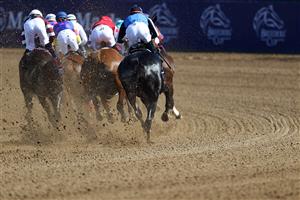 DEL MAR, CALIFORNIA - NOVEMBER 06: The field heads into the first turn during the Breeders' Cup Dirt Mile at Del Mar Race Track on November 06, 2021 in Del Mar, California. (Photo by Rob Carr/Getty Images)