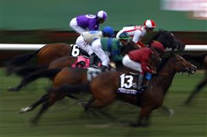 DEL MAR, CALIFORNIA - NOVEMBER 05: Horses race during the the Breeders' Cup Juvenile Fillies race at Del Mar Race Track on November 05, 2021 in Del Mar, California. (Photo by Sean M. Haffey/Getty Images)