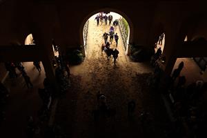 DEL MAR, CALIFORNIA - NOVEMBER 05: Horses enter the track for the Breeders' Cup Juvenile Turf Sprint race at Del Mar Race Track on November 05, 2021 in Del Mar, California. (Photo by Sean M. Haffey/Getty Images)
