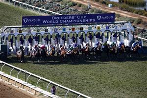 DEL MAR, CALIFORNIA - NOVEMBER 06: The field breaks from the gate at the start of the Breeders' Cup Mile at Del Mar Race Track on November 06, 2021 in Del Mar, California. (Photo by Sean M. Haffey/Getty Images)