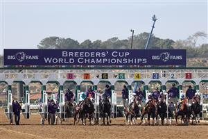 DEL MAR, CALIFORNIA - NOVEMBER 06: The field breaks from the gate during the Breeders' Cup Dirt Mile at Del Mar Race Track on November 06, 2021 in Del Mar, California. (Photo by Rob Carr/Getty Images)