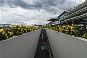 MELBOURNE, AUSTRALIA - NOVEMBER 06: Competing horses are lead out ahead of race 8, Paramount+ Mackinnon Stakes during 2021 Paramount+ Stakes Day at Flemington Racecourse on November 06, 2021 in Melbourne, Australia. (Photo by Daniel Pockett/Getty Images)