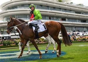 MELBOURNE, AUSTRALIA - NOVEMBER 06: Damian Lane riding Our Playboy after winning Race 1, the Incognitus Recognition Trophy, during 2021 Paramount + Stakes Day at Flemington Racecourse on November 06, 2021 in Melbourne, Australia. (Photo by Vince Caligiuri/Getty Images)