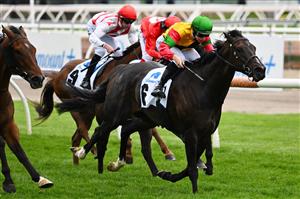 MELBOURNE, AUSTRALIA - NOVEMBER 06: Damian Lane riding #6 Age Of Chivalry wins race 7, Paramount+ Chatham Stakes during 2021 Paramount+ Stakes Day at Flemington Racecourse on November 06, 2021 in Melbourne, Australia. (Photo by Quinn Rooney/Getty Images)