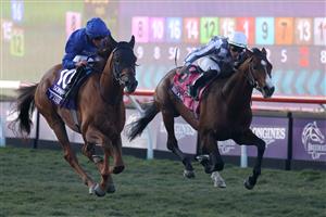 DEL MAR, CALIFORNIA - NOVEMBER 06: Jockey William Buick rides Yibir to victory in front of Domestic Spending and jockey Flavien Prat (R) during the Breeders' Cup Turf at Del Mar Race Track on November 06, 2021 in Del Mar, California. (Photo by Rob Carr/Getty Images)