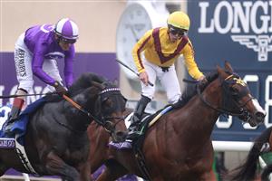 DEL MAR, CALIFORNIA - NOVEMBER 05: Jockey Irad Ortiz, Jr. celebrates after riding Twilight Gleaming (R) to win the Breeders' Cup Juvenile Turf Sprint at Del Mar Race Track on November 05, 2021 in Del Mar, California. (Photo by Rob Carr/Getty Images)