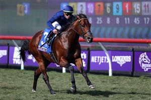 DEL MAR, CALIFORNIA - NOVEMBER 06: Jockey Irad Ortiz, Jr. rides Golden Pal to victory in the Breeders' Cup Turf Sprint at Del Mar Race Track on November 06, 2021 in Del Mar, California. (Photo by Rob Carr/Getty Images)