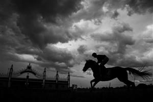 MELBOURNE, AUSTRALIA - NOVEMBER 06: (EDITORS NOTE: Image has been converted to black and white.) James McDonald riding Zaaki to the start before winning Race 8, the Paramount Plus Mackinnon Stakes, during 2021 Paramount + Stakes Day at Flemington Racecourse on November 06, 2021 in Melbourne, Australia. (Photo by Vince Caligiuri/Getty Images)