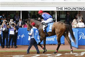 MELBOURNE, AUSTRALIA - NOVEMBER 06: James McDonald riding #4 Zaaki celebrates after winning race 8, Paramount+ Mackinnon Stakes during 2021 Paramount+ Stakes Day at Flemington Racecourse on November 06, 2021 in Melbourne, Australia. (Photo by Darrian Traynor/Getty Images)