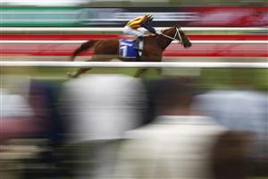 MELBOURNE, AUSTRALIA - NOVEMBER 06: James McDonald riding Nature Strip winning race 6, the Darley Sprint Classic, during 2021 Paramount+ Stakes Day at Flemington Racecourse on November 06, 2021 in Melbourne, Australia. (Photo by Daniel Pockett/Getty Images)