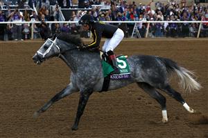 DEL MAR, CALIFORNIA - NOVEMBER 06: Jockey Joel Rosario rides Knicks Go to win the Breeders' Cup Classic at Del Mar Race Track on November 06, 2021 in Del Mar, California. (Photo by Sean M. Haffey/Getty Images)