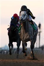 DEL MAR, CALIFORNIA - NOVEMBER 06: Jockey Joel Rosario rides Knicks Go to win the Breeders' Cup Classic at Del Mar Race Track on November 06, 2021 in Del Mar, California. (Photo by Rob Carr/Getty Images)