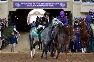 DEL MAR, CALIFORNIA - NOVEMBER 06: Jockey Joel Rosario enters the track aboard Knicks Go prior to the Breeders' Cup Classic at Del Mar Race Track on November 06, 2021 in Del Mar, California. (Photo by Sean M. Haffey/Getty Images)