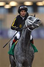 DEL MAR, CALIFORNIA - NOVEMBER 06: Jockey Joel Rosario reacts after riding Knicks Go to win the Breeders' Cup Classic at Del Mar Race Track on November 06, 2021 in Del Mar, California. (Photo by Sean M. Haffey/Getty Images)