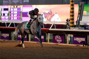 DEL MAR, CALIFORNIA - NOVEMBER 06: Jockey Joel Rosario rides Knicks Go to win the Breeders' Cup Classic at Del Mar Race Track on November 06, 2021 in Del Mar, California. (Photo by Rob Carr/Getty Images)