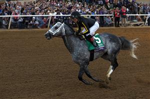DEL MAR, CALIFORNIA - NOVEMBER 06: Jockey Joel Rosario rides Knicks Go to win the Breeders' Cup Classic at Del Mar Race Track on November 06, 2021 in Del Mar, California. (Photo by Sean M. Haffey/Getty Images)