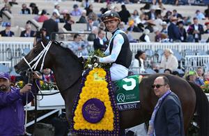 DEL MAR, CALIFORNIA - NOVEMBER 06: Jockey Jose Ortiz reacts in the winners circle after winning the Breeders' Cup Sprint race aboard Aloha West at Del Mar Race Track on November 06, 2021 in Del Mar, California. (Photo by Sean M. Haffey/Getty Images)