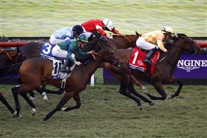 DEL MAR, CALIFORNIA - NOVEMBER 05: Jockey Jose Ortiz rides Pizza Bianca to win the Breeders' Cup Juvenile Fillies Turf raceat Del Mar Race Track on November 05, 2021 in Del Mar, California. (Photo by Sean M. Haffey/Getty Images)